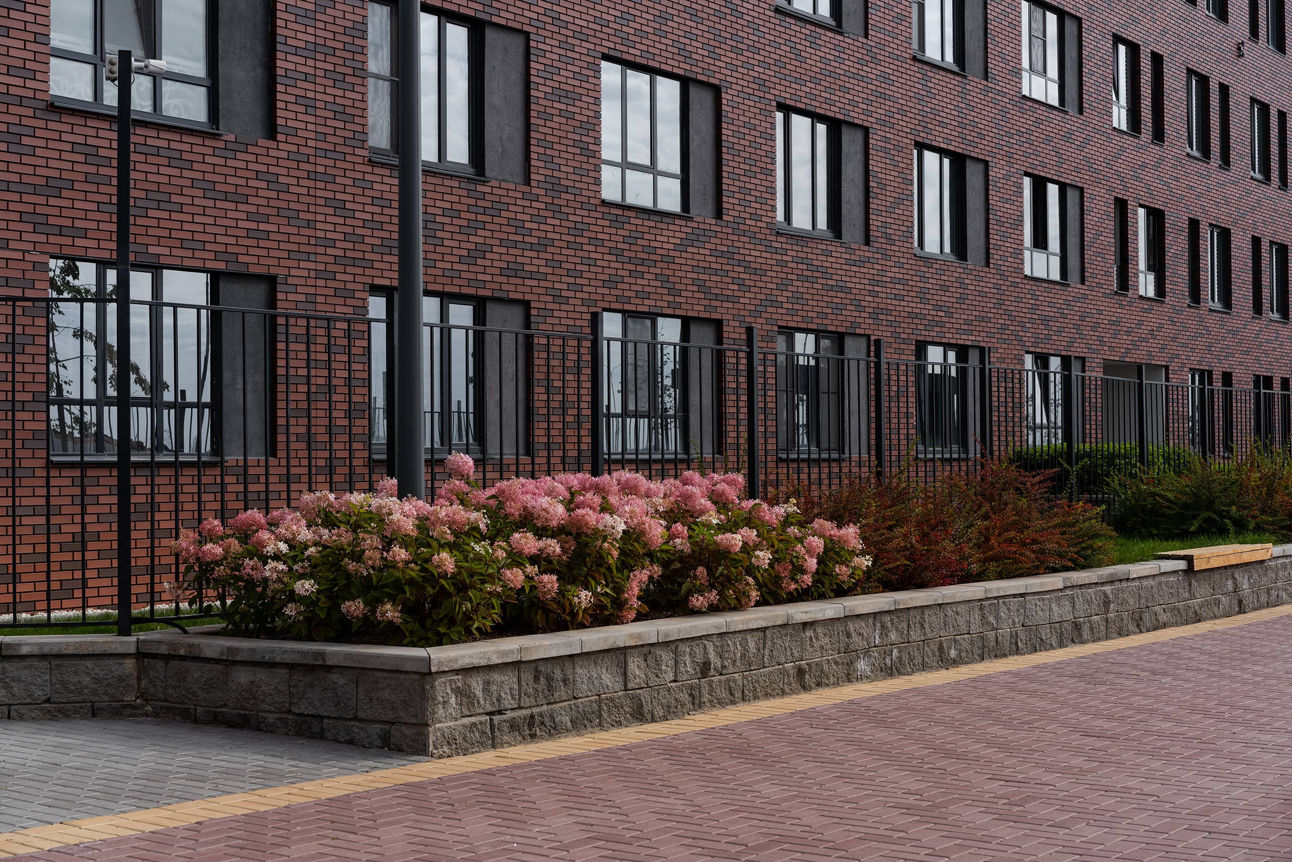 site image